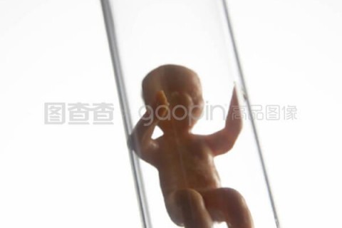 http://wenzhou.nbgk120.com/post/209.html|温州捐卵费用
