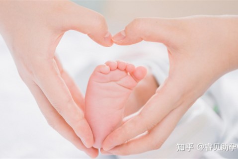 夏天温州捐卵宝宝发烧 莫要急