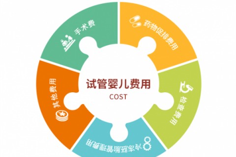 温州捐卵宝宝肚痛，父母该怎么办？